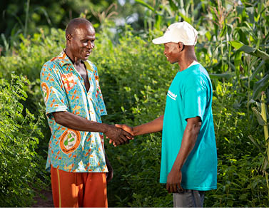 El productor Dakuyo Foroza (54 años, izquierda) recibe formación del agente de empresas de productores (AEP) Bleise Tianhoun (derecha) en su granja de la provincia de Mouhoun, Burkina Faso Proyecto SESAME - Burkina Faso, África Occidental 12 de septiembre de 2018 Fotografía de Jake Lyell para Lutheran World Relief. 