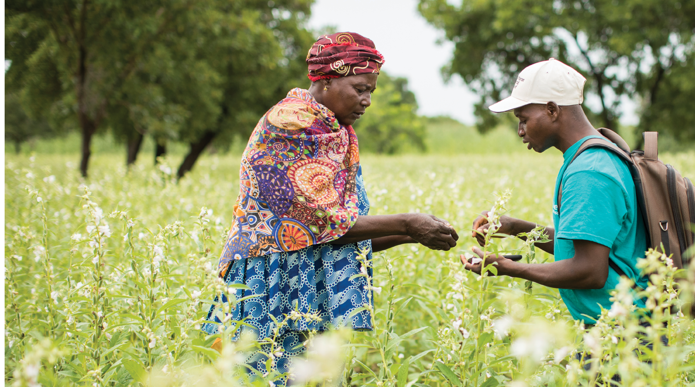 Sama Isabel (52, G) est une productrice de sésame prospère dans la province du Mouhoun, au Burkina Faso, qui a bénéficié de la formation et du soutien de son agent d'entreprise de production, Bleise Tianhoun (D), dans le cadre du projet SESAME Projet SESAME - Burkina Faso, Afrique de l'Ouest 14 septembre 2018 Photo de Jake Lyell pour Lutheran World Relief. 