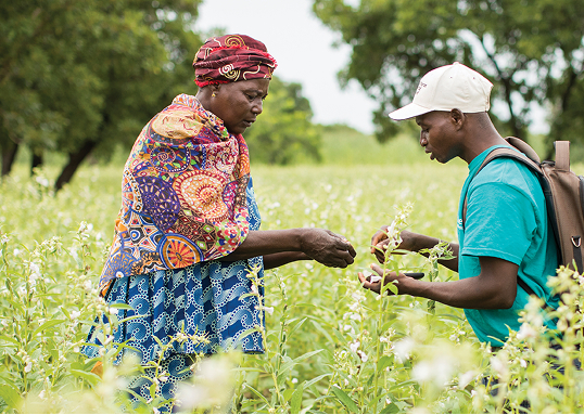 Rural Economic Development