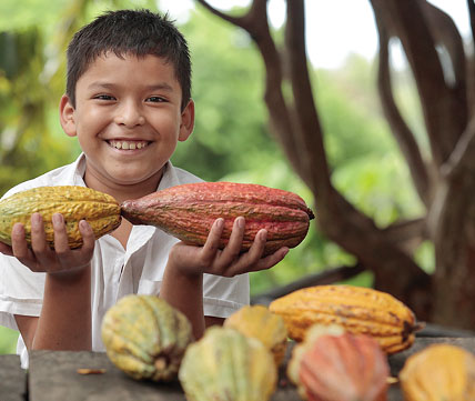 Rural Economic Development