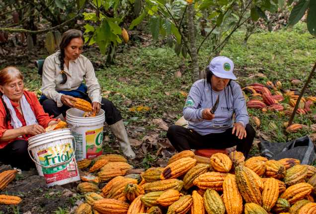 Women Farmers Grow Brighter Futures: Stories of Perseverance from Ukraine, Peru and South Sudan