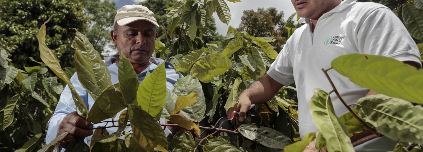 Fortaleciendo las cadenas de valor del cacao en Ecuador: Lutheran World Relief en Chokao 2025