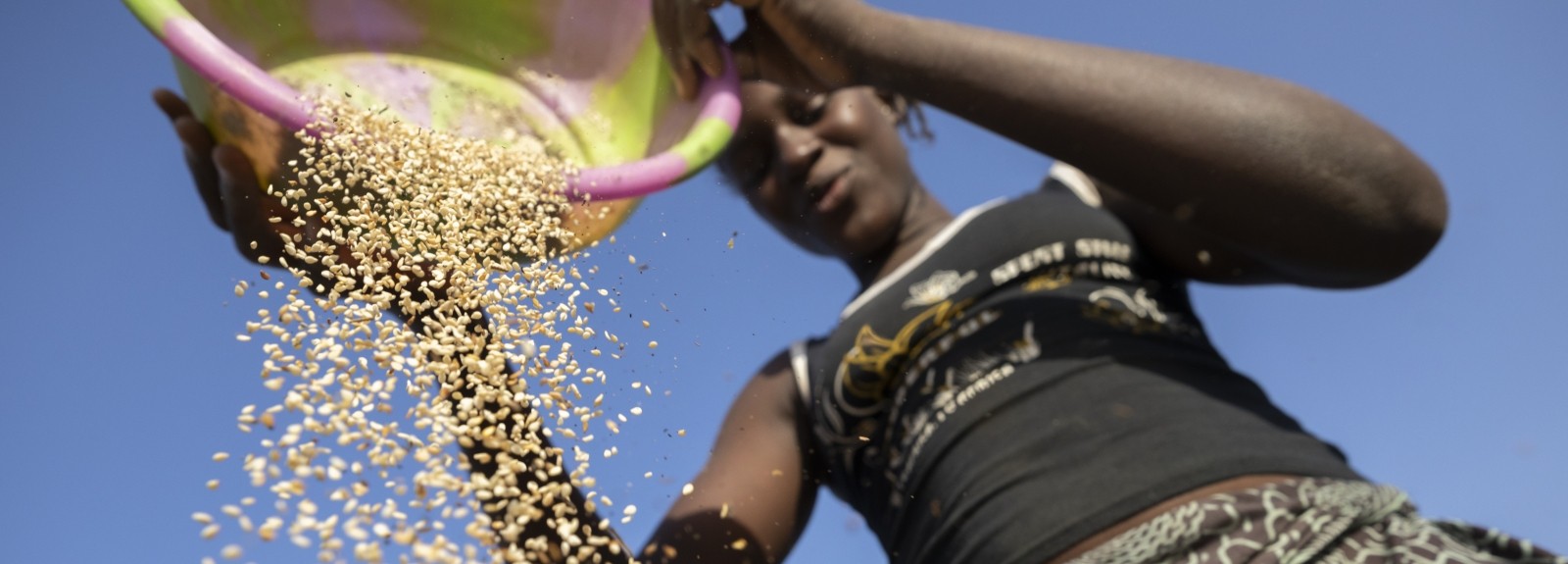 Strengthening capacity of smallholder farmers: The Food Safety First Costing Tool