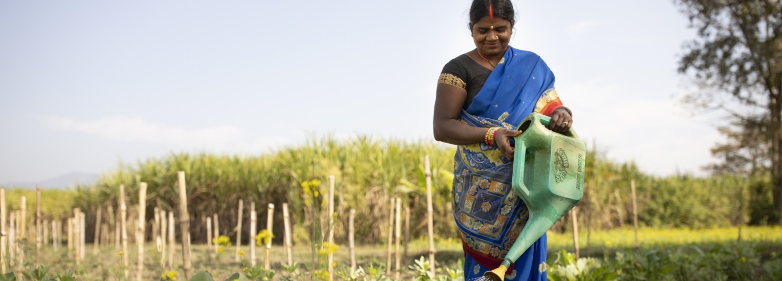Strengthening resilient communities: Climate-smart agriculture and disaster risk reduction in Nepal