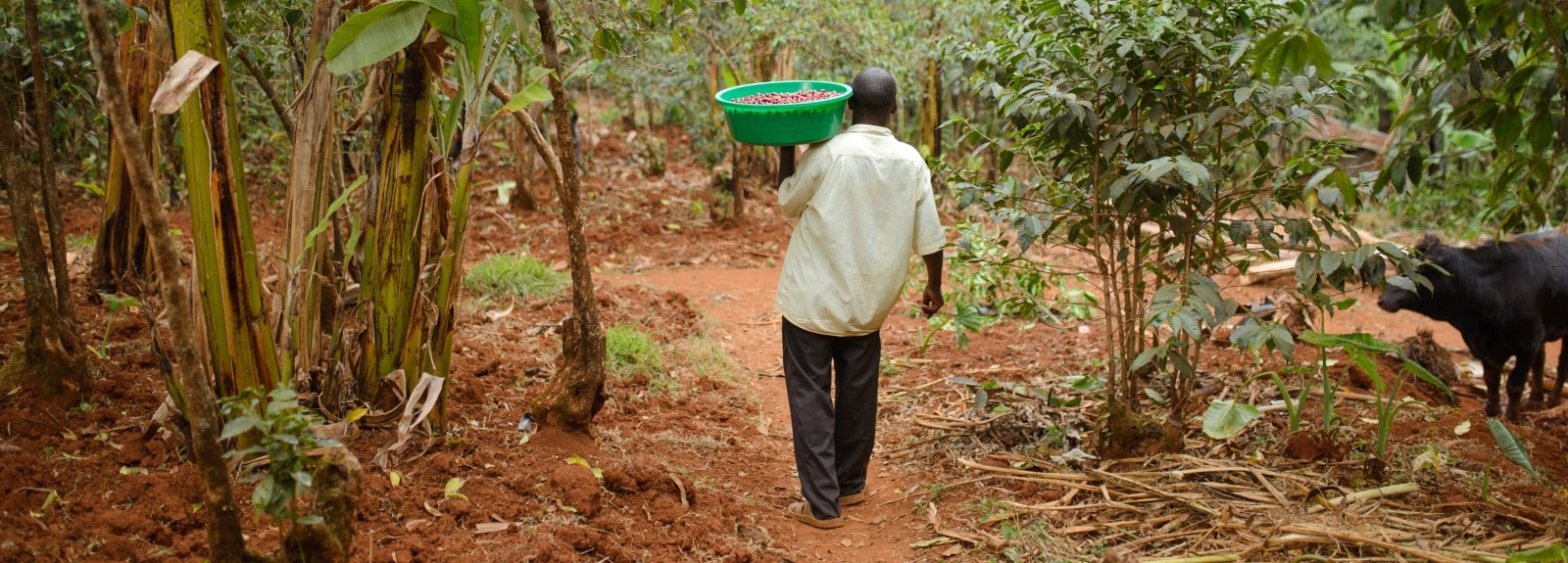 Meet the small and growing businesses strengthening rural economies