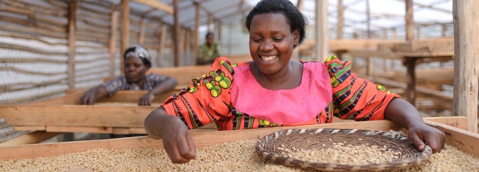 The Corus Effect: How Mountain Harvest transforms lives through coffee