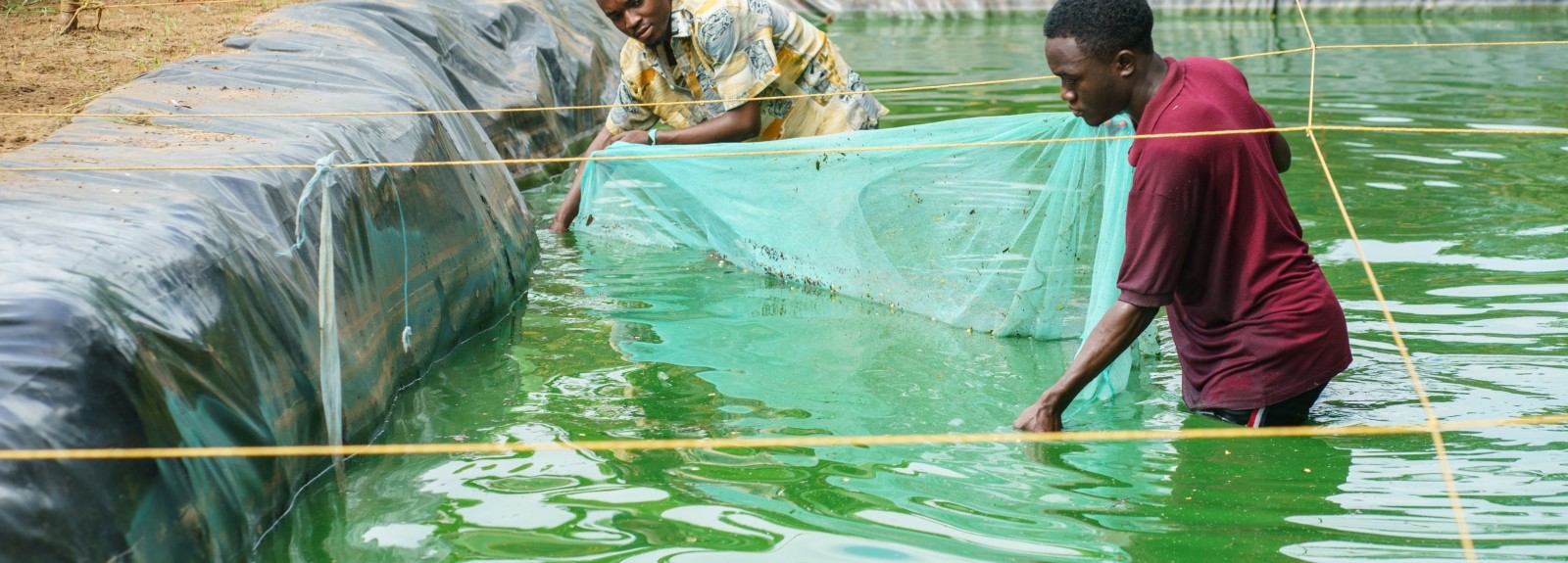 Investir dans l'agriculture et l'entrepreneuriat des jeunes en Tanzanie