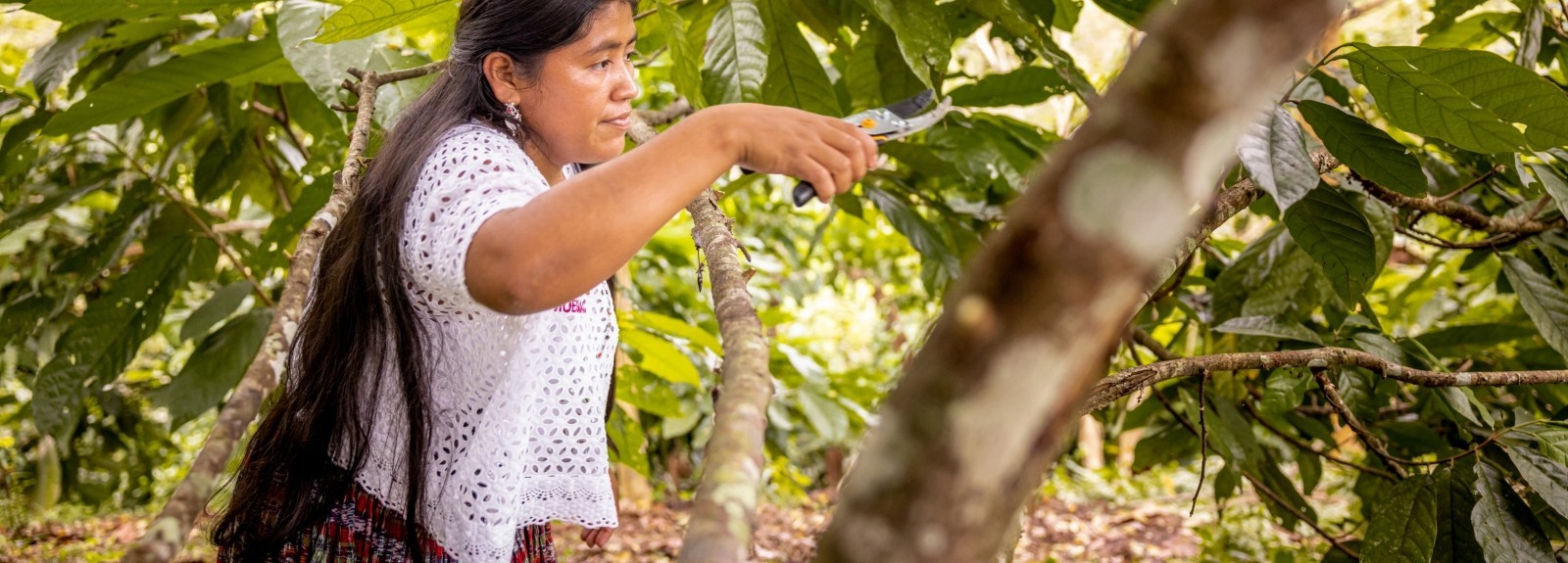 Addressing root causes of migration in Guatemala