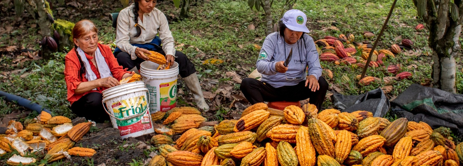 Women Farmers Grow Brighter Futures: Stories of Perseverance from Ukraine, Peru and South Sudan