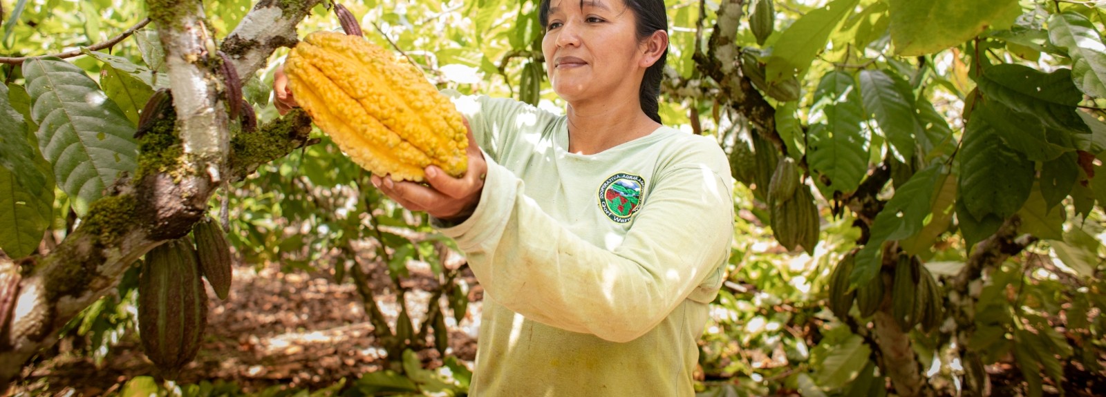 Corus International at Chocoa 2026: Advancing Farmer-Centered Solutions in the Global Cocoa Sector