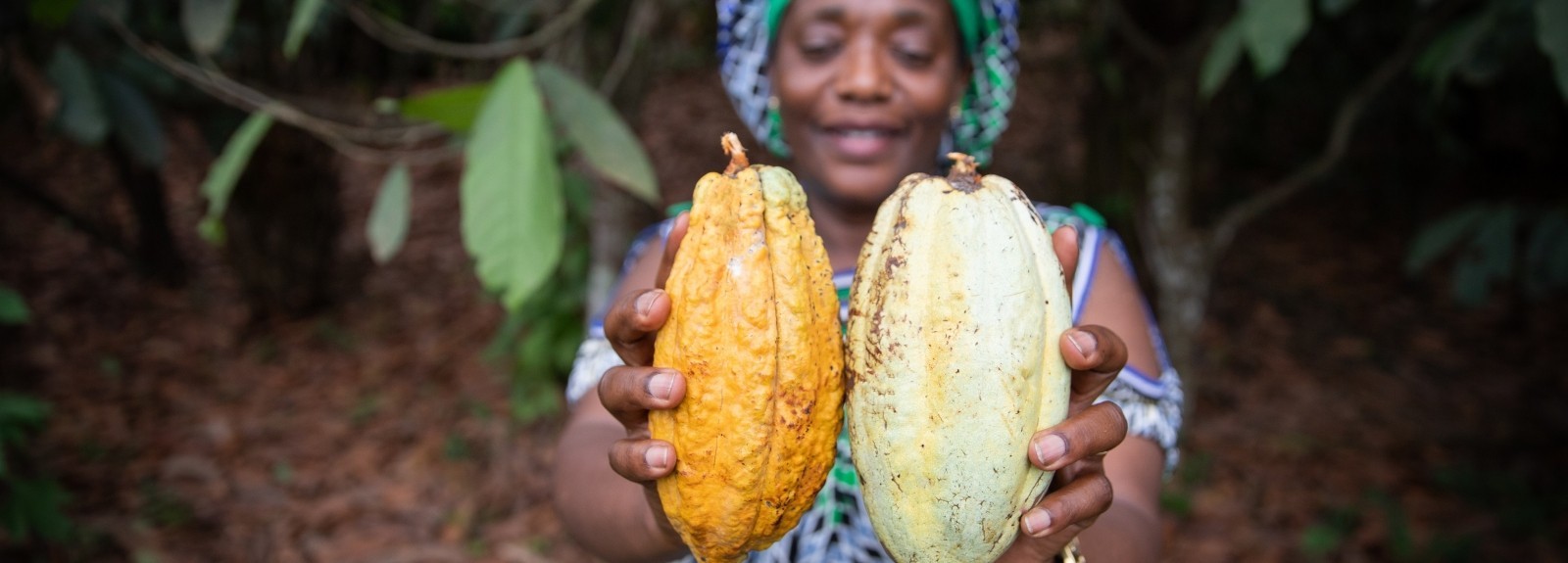 The USDA Food for Progress TRACE Project Launches at CFAN’s 2nd Annual Cocoa Festival in Nigeria