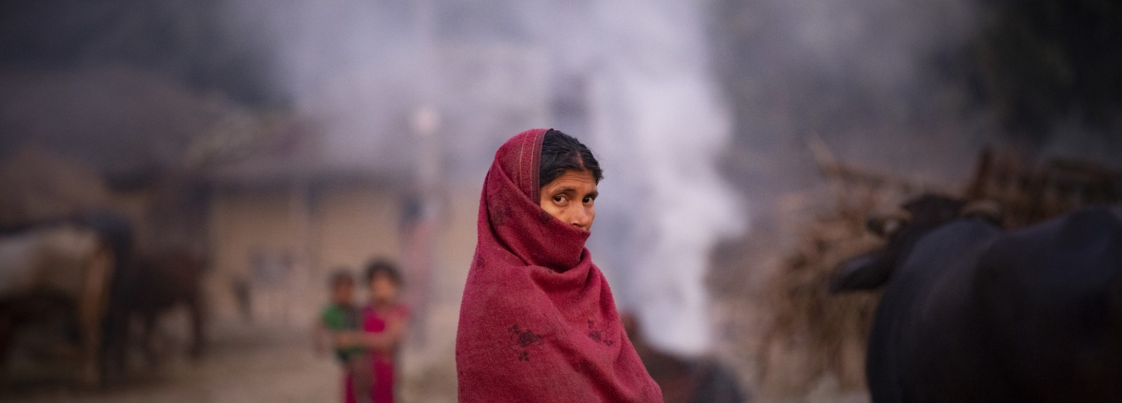  Une nouvelle ONG à la tête d'une famille diversifiée d'organisations à but non lucratif et d'organisations à but lucratif
