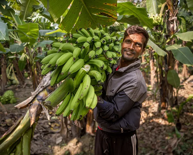 Bananas are changing lives in Nepal. Find out how…