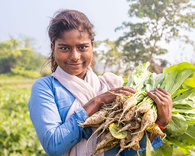 Environmental Sustainability