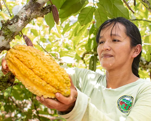 Rural Economic Development