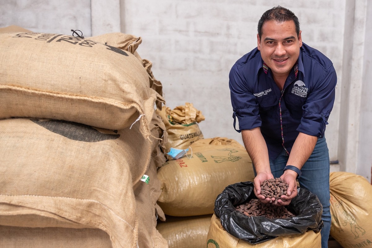 A Guatemalan man in a dark blue shirt and jeans is bent down holding cacao beans from an open bag of cacao beans.