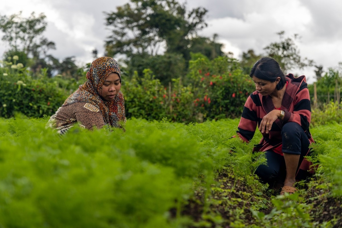 Two women work on a farm. They both are improving community health and hygiene through Lutheran World Relief's MECIHO project.