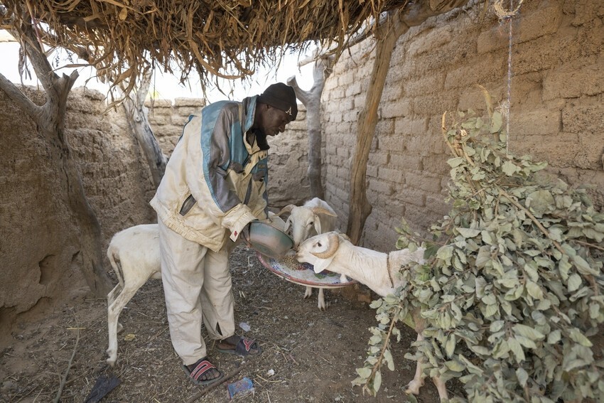 WASH promotion in Mali by IMA World Health
