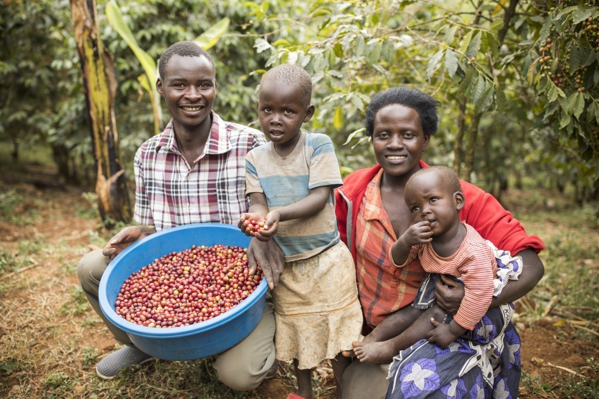 A family of 4 showcases coffee cherries that they have collected 