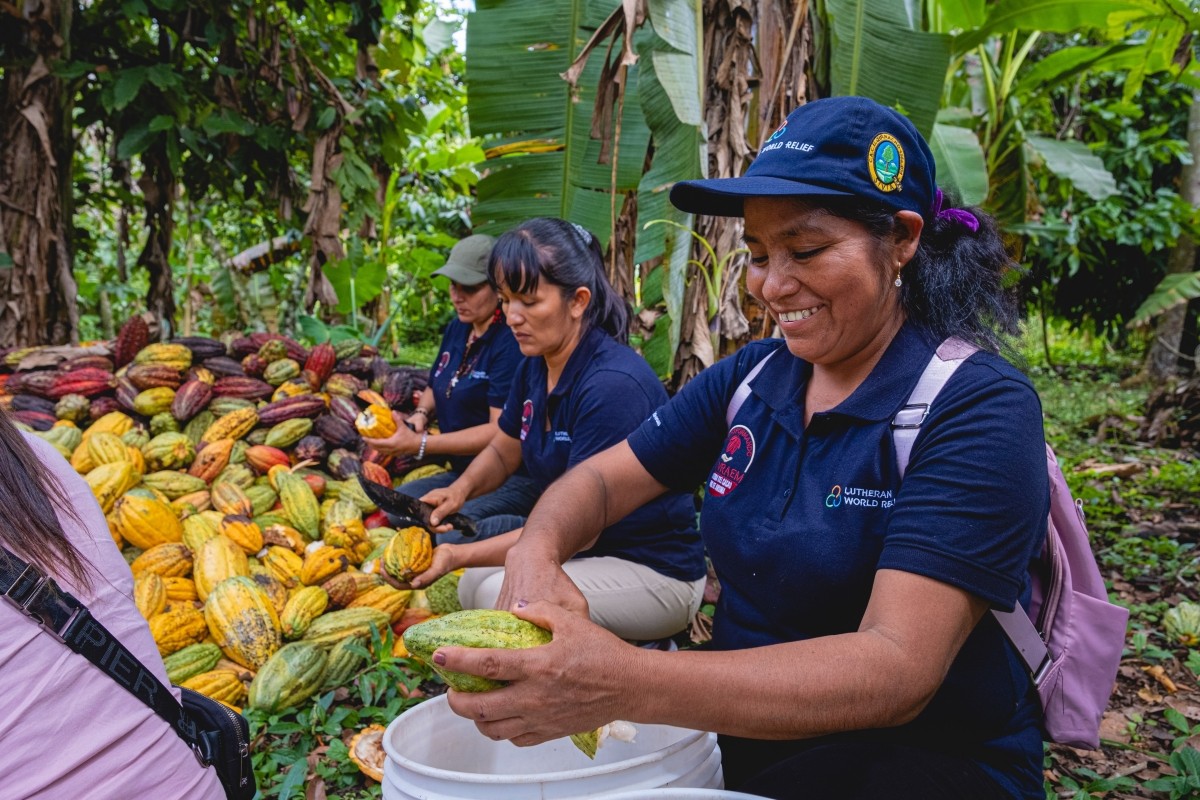 Three women work to remove cacao pulp from pods.