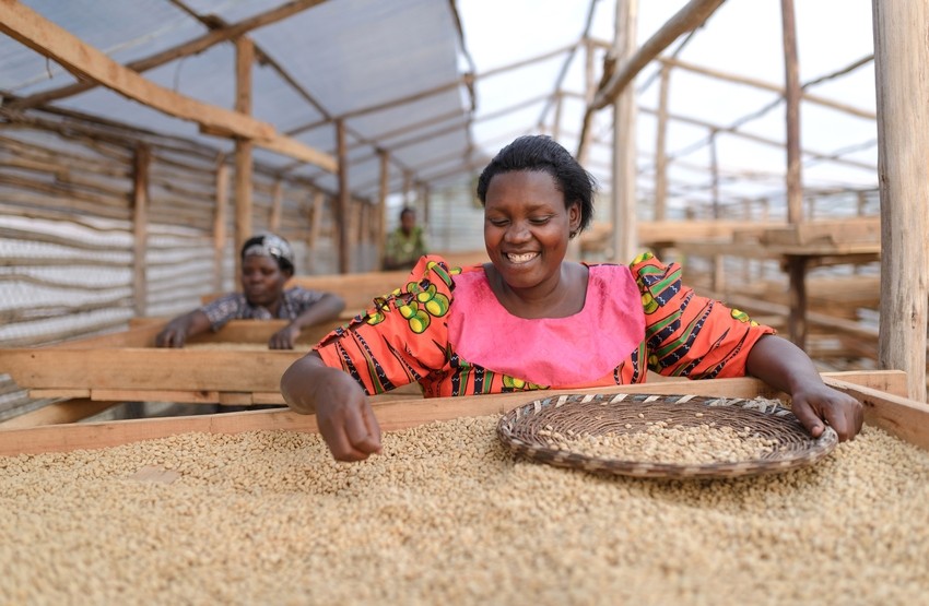 A woman in a bright dress sorts coffee beans with a big smile