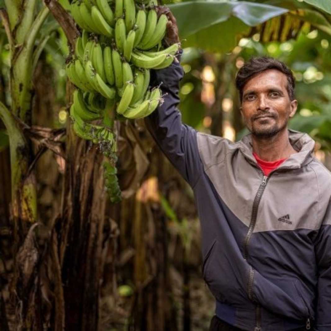 Jayantri with his bananas today