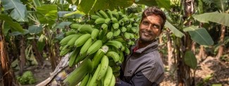 Bananas are changing lives in Nepal. Find out how…