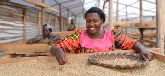 L'effet Corus : comment Mountain Harvest transforme des vies grâce au café
