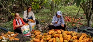 Las agricultoras cultivan un futuro más brillante: historias de perseverancia de Ucrania, Perú y Sudán del Sur