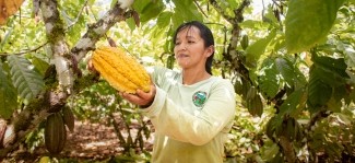 Corus International en Chocoa 2026: Impulsando soluciones centradas en los agricultores en el sector cacaotero mundial