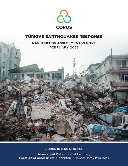 Tremblements de terre en Turquie - Rapport d'évaluation rapide des besoins