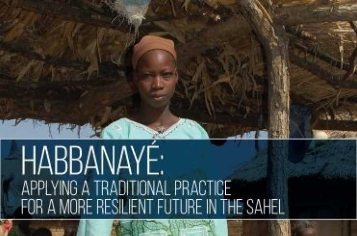Habbanayé: Applying a Traditional Practice for a More Resilient Future in the Sahel