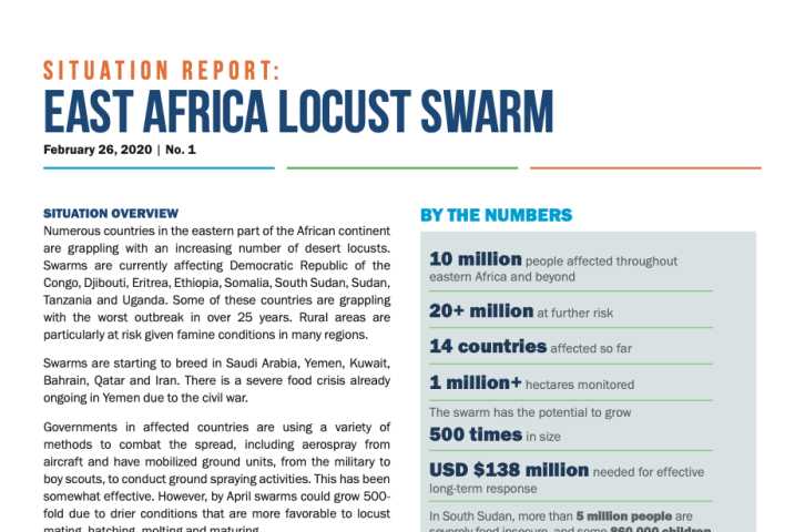 Situation Report: East Africa Locust Swarm