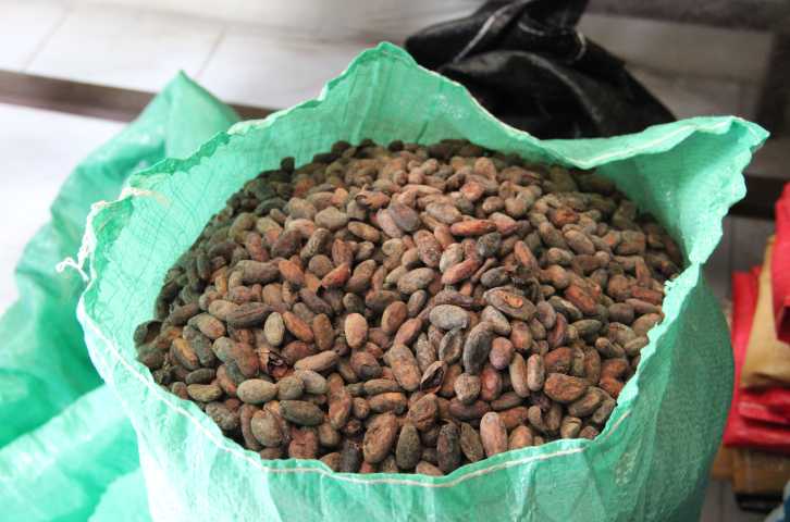 Bag of cacao