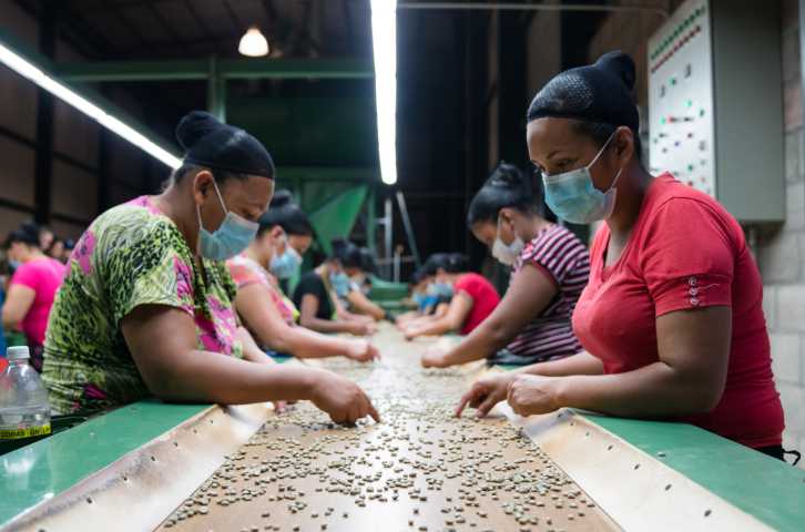 Women coffee farmers sort coffee beans at a cooperative facility