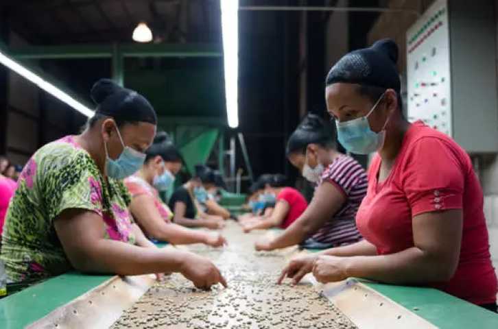 Agrilinks - Private sector engagement: Central America and the “business” of hope
