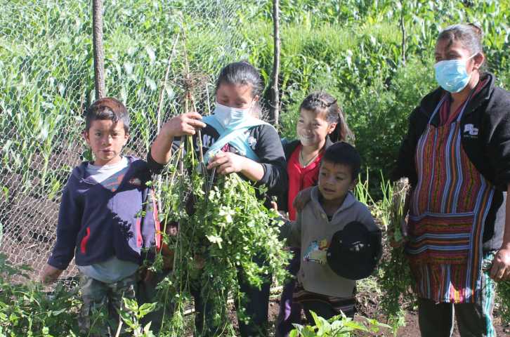 Page du projet : Améliorer la santé et la nutrition dans les hauts plateaux de l'ouest du Guatemala