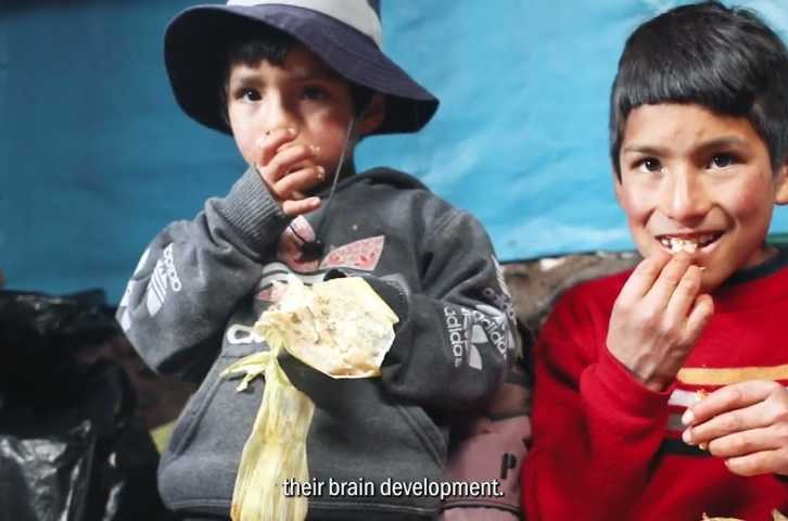 Promoting Food Security in Castrovirreyna, Peru