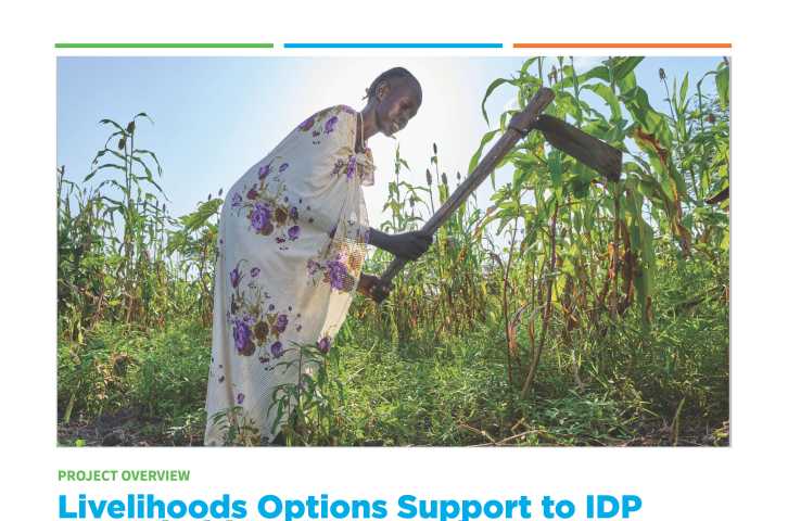 Livelihoods Options Support to IDP Households (LOSIH) Project