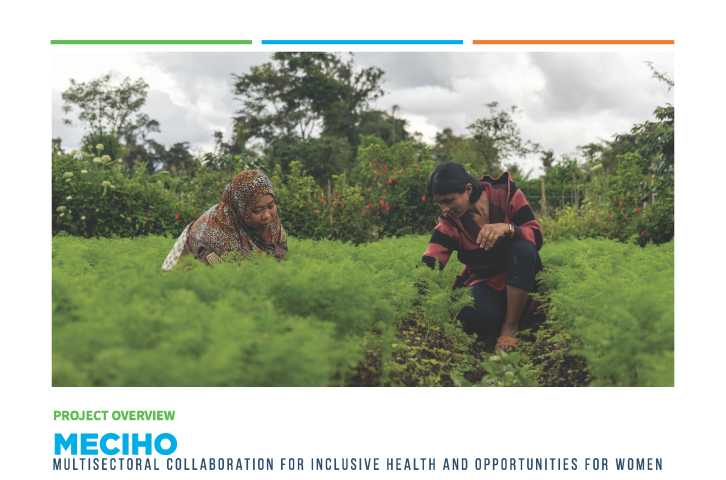 MECIHO: Multisectoral Collaboration for Inclusive Health and Opportunities for Women