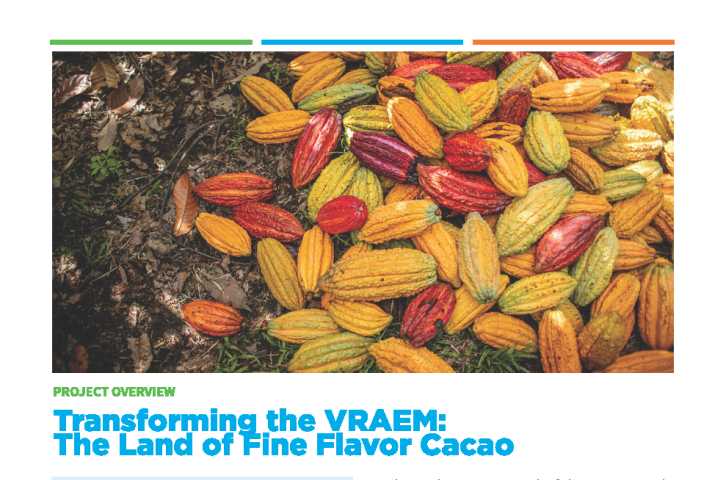 Transforming the VRAEM: The Land of Fine Flavor Cacao Project Overview