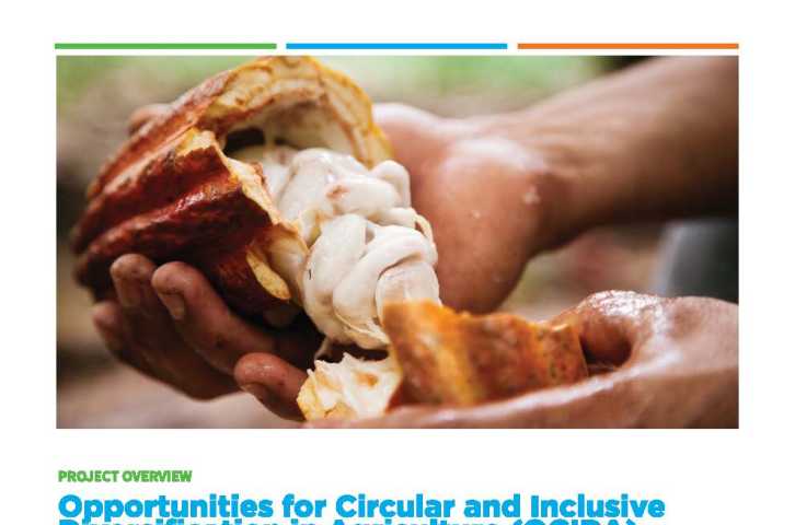 Opportunités de diversification circulaire et inclusive dans l'agriculture (OCIDA) 
