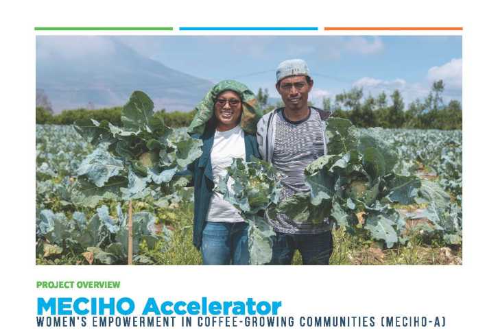 MECIHO Accelerator Project Overview