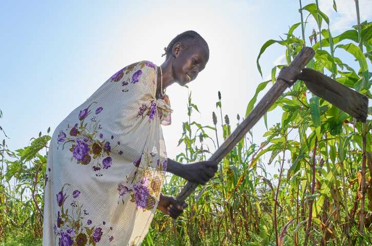 Une femme sud-soudanaise d'âge moyen se tient dans son jardin, le soleil l'éclairant de l'arrière, tandis qu'elle balance sa houe en l'air.