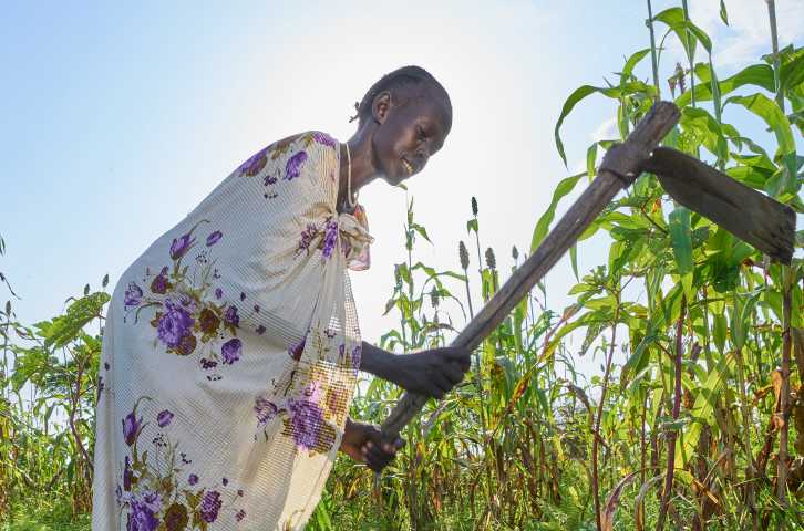 A South Sudanese middle-aged women stands in her garden with the sun illuminating her from behind as she swings her hoe in the air