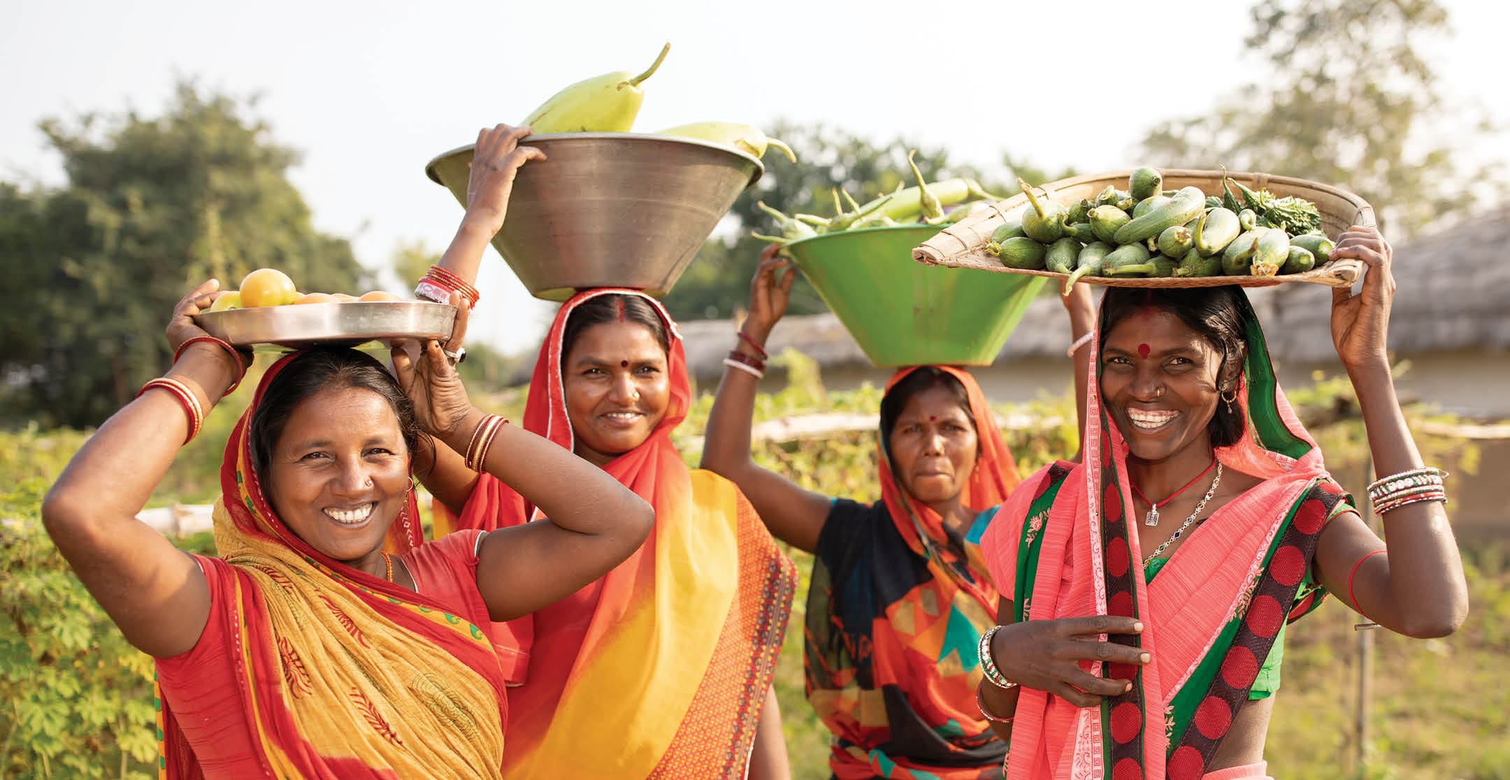 Right to Left: Chandrika Devi (35), Manti Devi (32), Nirmala Devi (32), and Manju Devi (35) bring baskets of freshly-harvested gourds back from their farms in Bihar, India. These women have been empowered and their livelihoods have been strengthened through Partnership Bihar, a Lutheran World Relief initiative that brings better farming techniques, high-quality seeds, improved nutrition for families, and microfinance self-help groups to communities in one of India’s poorest states. Pradan (Professional Assistance for Development Action) / Partnership Bihar project.  November 21, 2019 - Banka District, Bihar State, India. Photo by Jake Lyell for Lutheran World Relief.
