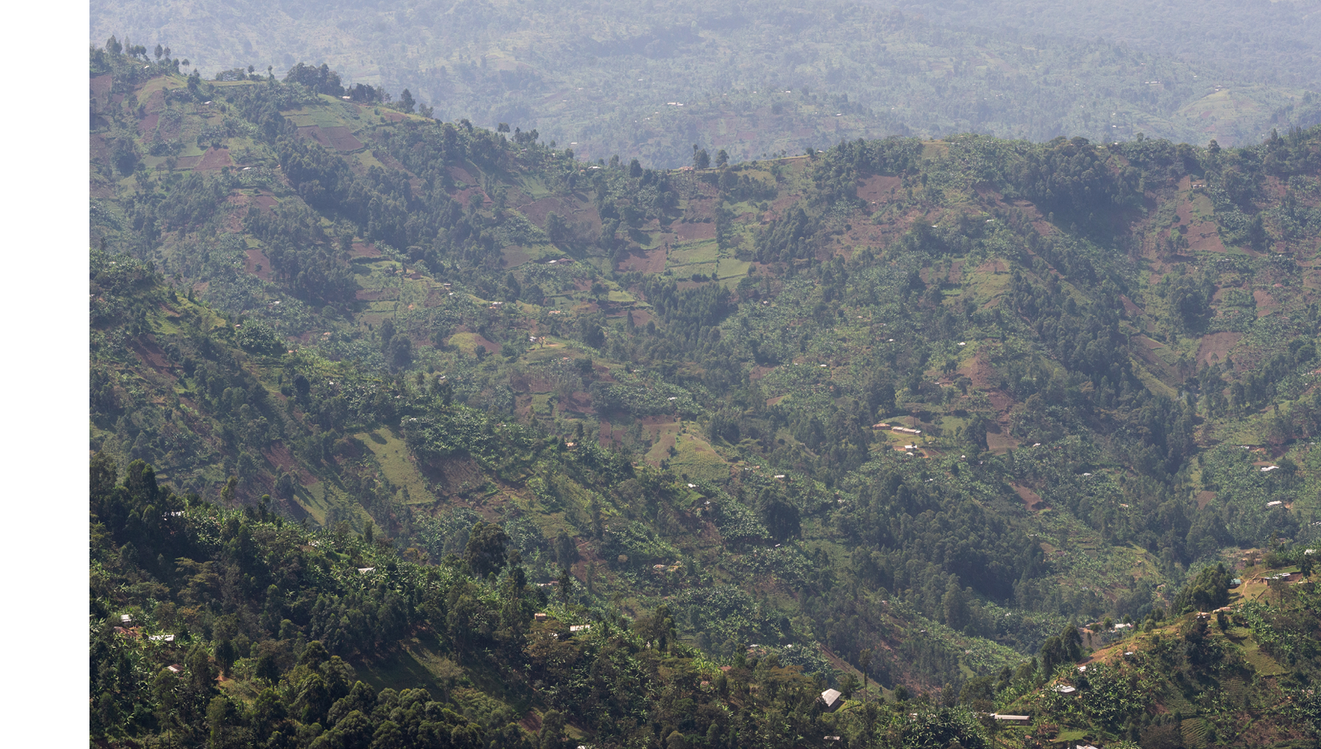Bufuma landscape Photo: Jjumba Martin Mountain Harvest