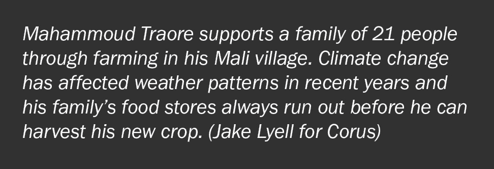 Mahammoud Traore supports a family of 21 people through farming in his Mali village  Climate change has affected weat   